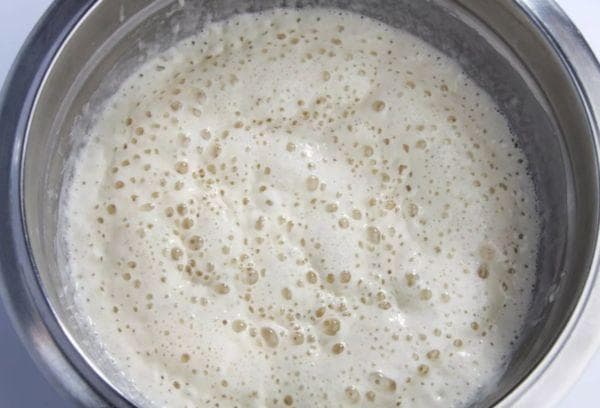 Sauerteig für den Teig
