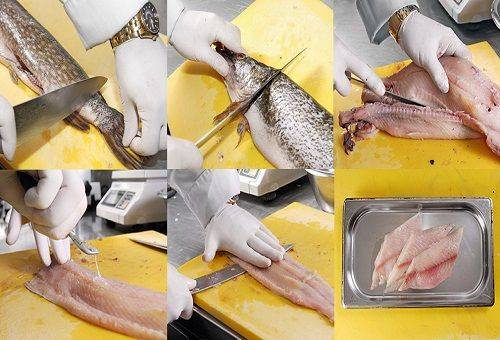 Reinigung und Zerteilung des Fisches