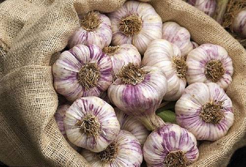 Beutel mit Knoblauch