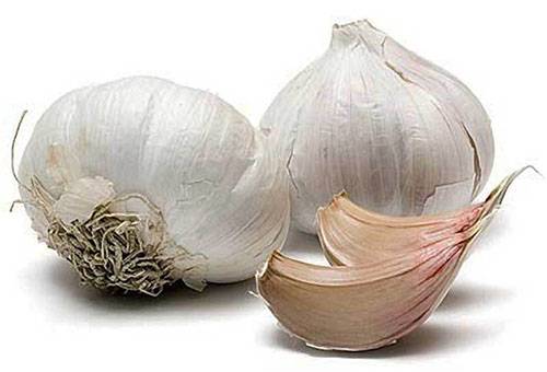 Trockener Knoblauch