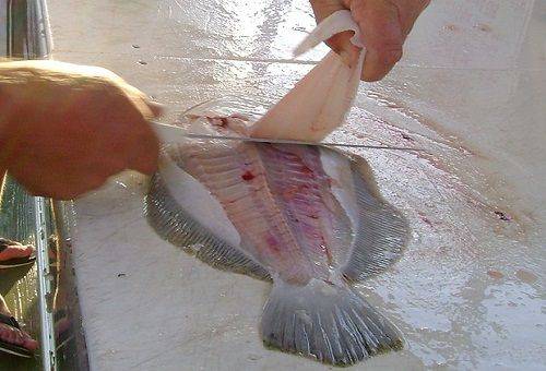 Filetieren des Fisches