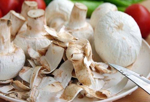gereinigte Champignons