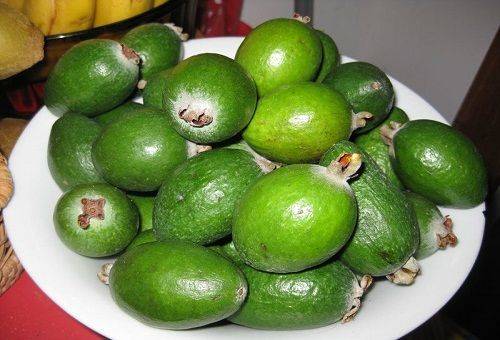 Feijoa auf einem Teller