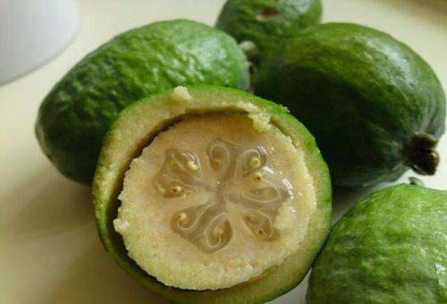 Reife Feijoa-Frucht