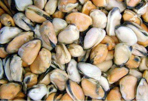 gefrorene Miesmuscheln