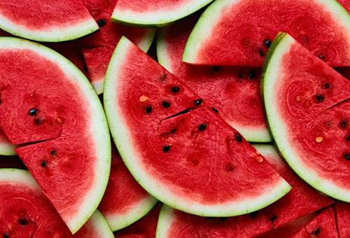 Wassermelonenscheiben