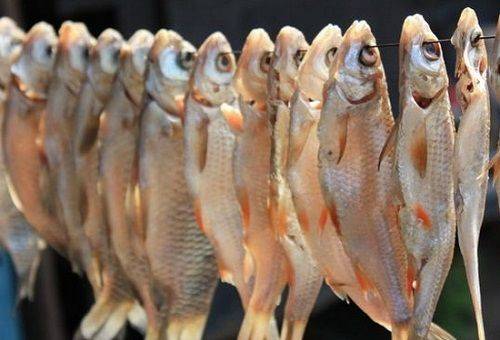 getrockneter Fisch
