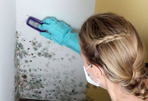 Frau reinigt die Wand von Schimmel