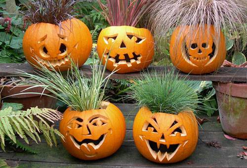 Kürbisse zu Halloween