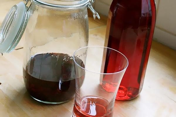 Viburnum-Aufguss mit Wodka