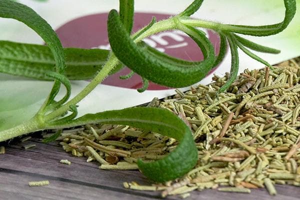 Frischer und getrockneter Rosmarin