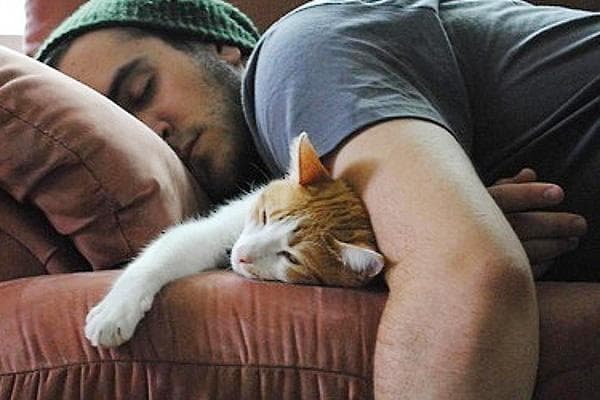 Ein Mann schläft mit einer Katze