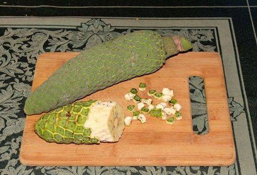 Monstera-Frucht