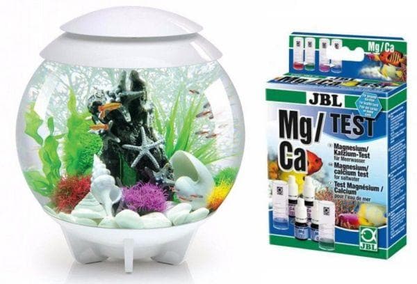 Aquarium und Tests