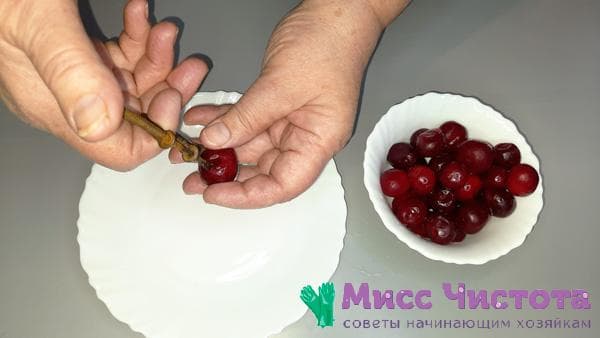 Spezialwerkzeug zum Entkernen von Beeren