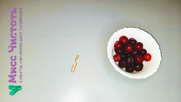Büroklammer und Beeren