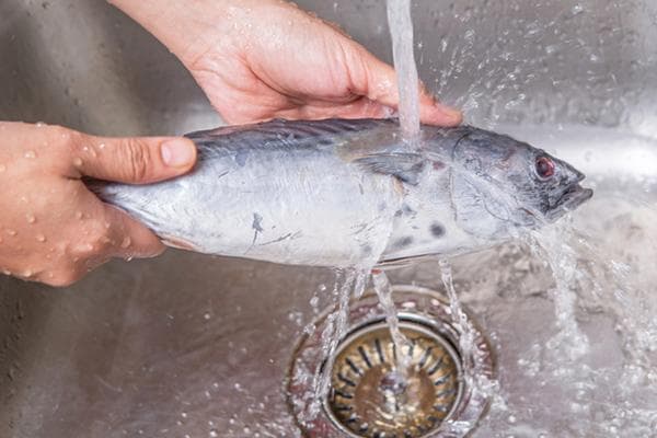 Auftauen von Fisch unter fließendem Wasser