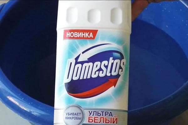 Domestos und die blaue Schüssel