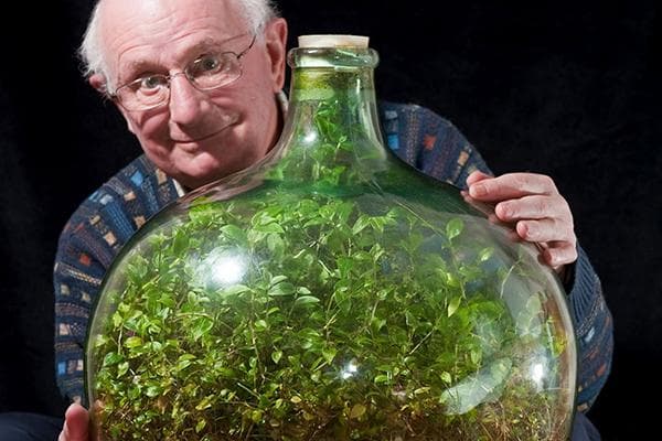 Mann mit geschlossenem Florarium