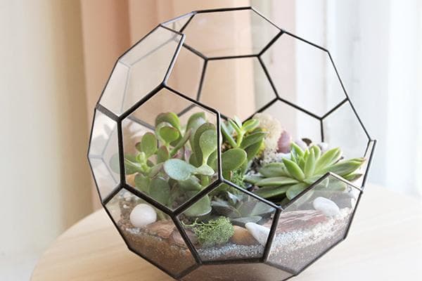 Florarium aus Sechsecken