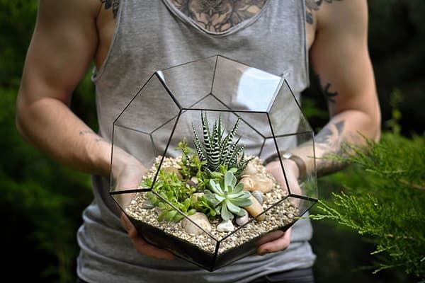Geometrisches Florarium mit Sukkulenten