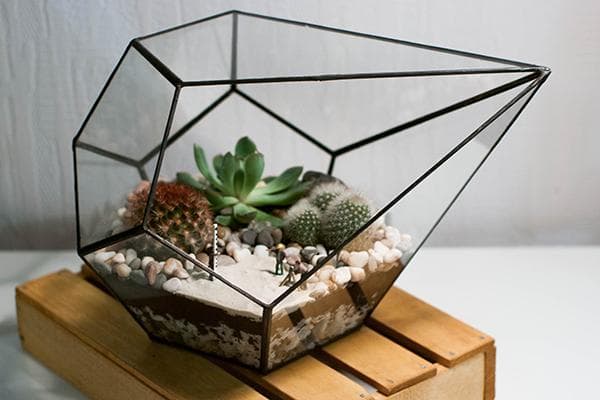 Geometrisches Florarium mit Sukkulenten