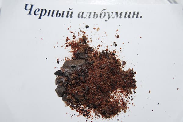 Schwarzer Speisealbumin