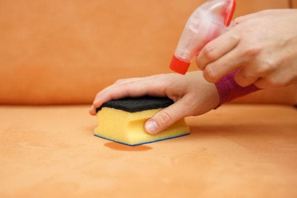 Behandlung des Sofas gegen Uringeruch