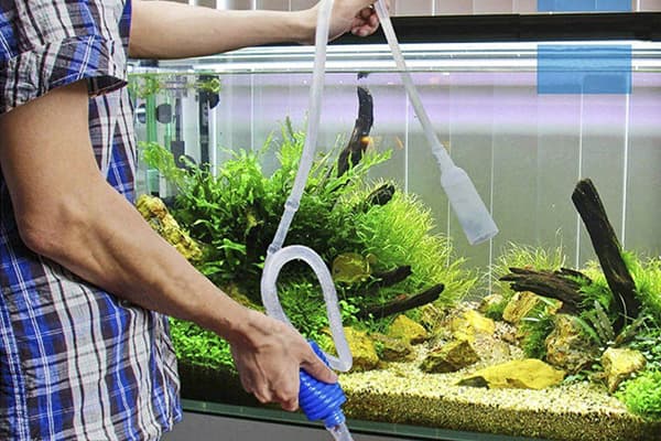 Mechanische Aquarienreinigung