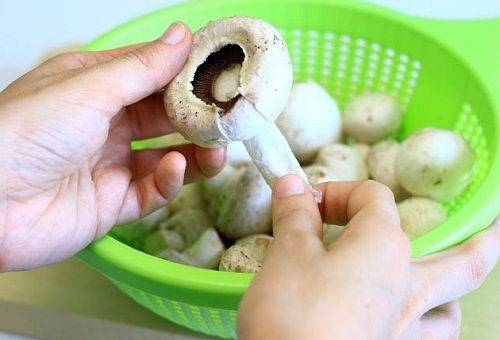 Reinigung von Champignons