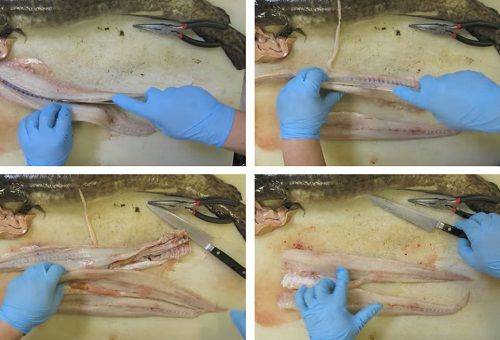 Schritte der Fischreinigung 1