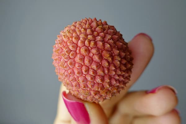 Litschifrucht
