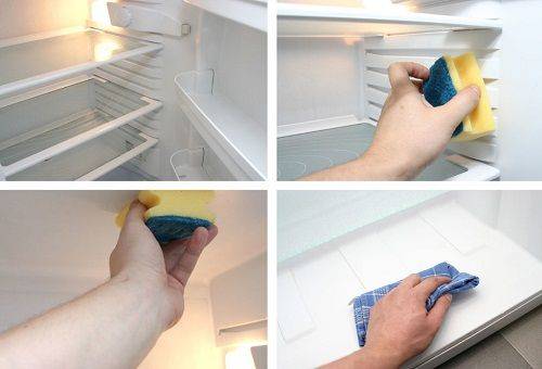 Wie man den Fischgeruch vom Kühlschrank entfernt