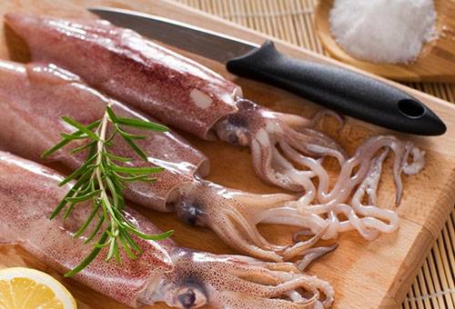 Frische Tintenfische