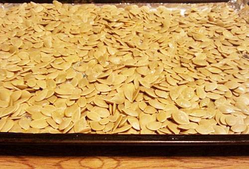 Trocknen von Kürbiskernen im Ofen