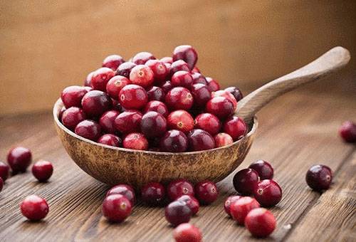 Ausgewählte Preiselbeeren