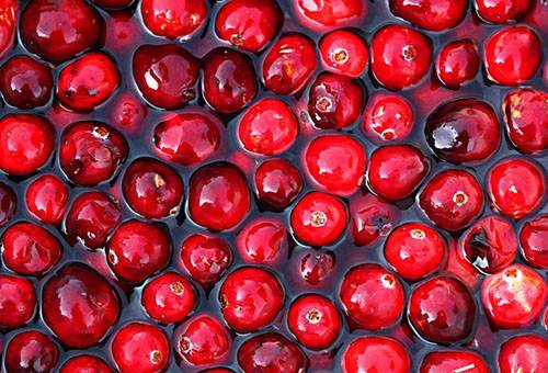 Eingelegte Preiselbeeren