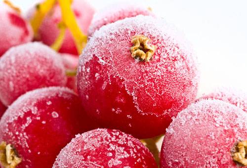 Gefrorene Preiselbeeren