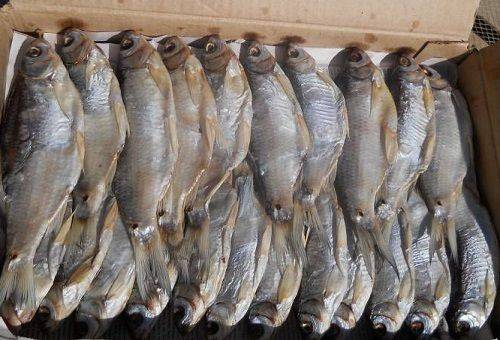 Getrockneter Fisch in einer Kiste