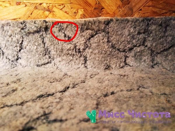 Ein angenagelter Teppich auf einem Holzboden