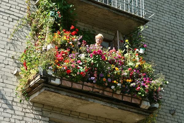 Eine Frau hat auf dem Balkon viele Blumen gezüchtet