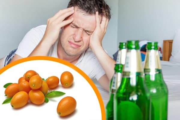 Kumquat gegen Kater