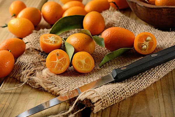 Frische Kumquat