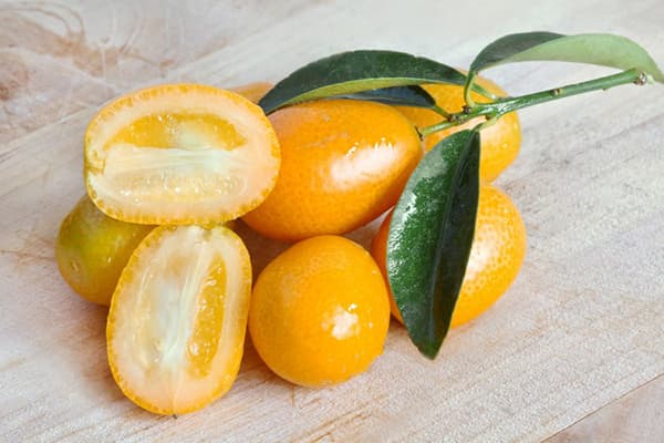 Früchte und Blätter der Kumquat