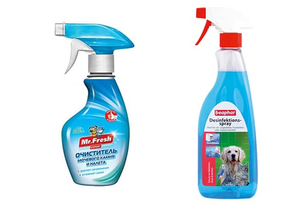 Moderne Reinigungsmittel für Katzenklos
