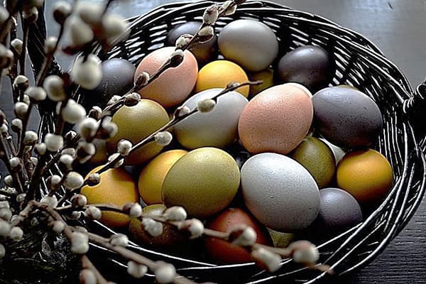 Mit natürlichen Farbstoffen gefärbte Eier