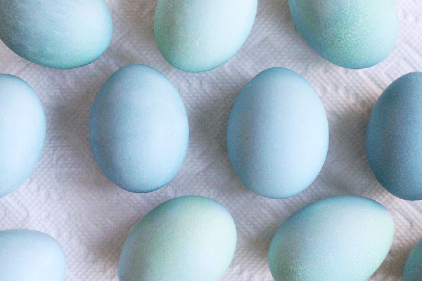 Blaue Ostereier