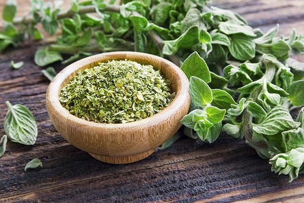 Gewürz Oregano