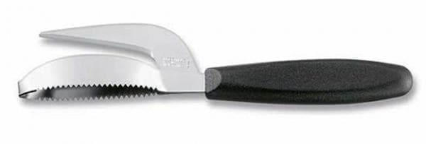 Messer zum Entschuppen von Fisch