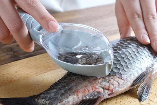 Messer zum Reinigen von Fisch mit Behälter